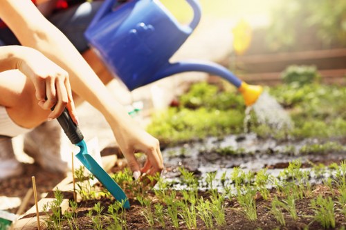Gardening services in West Heath for tidy lawns and borders