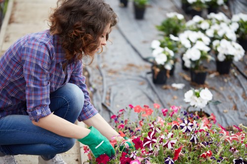 Local hedge trimming service in West Heath improving kerb appeal