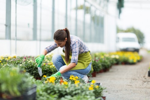 Keyboard navigation on an accessible gardening page