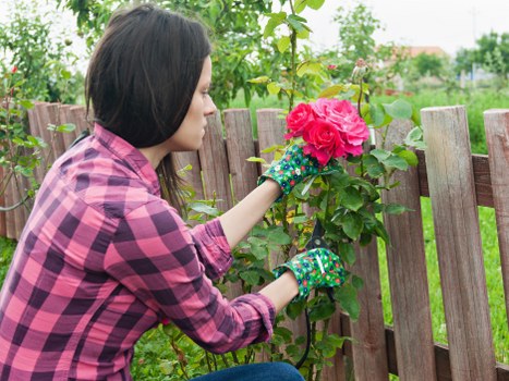 Gardeners West Heath modern slavery statement introduction