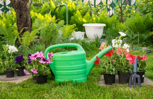 Lawn care and hedge trimming for West Heath gardens