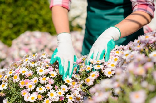 Gardeners West Heath service terms introduction