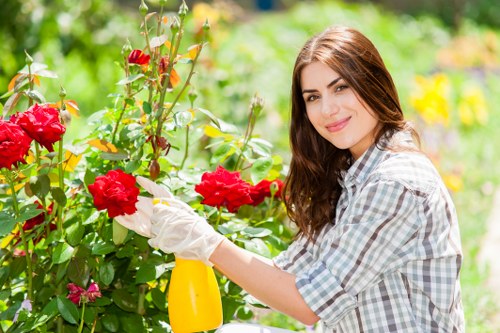 Risk assessment carried out for a garden maintenance task