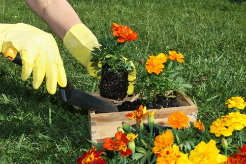 Seasonal garden maintenance in West Heath