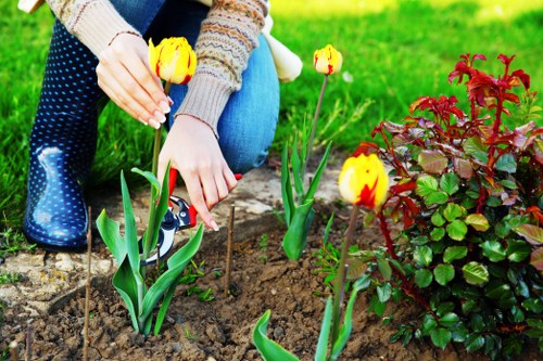Gardeners West Heath improving a well-kept residential garden