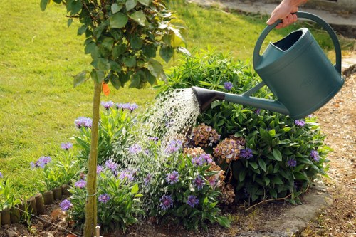 Seasonal hedge trimming in West Heath for tidy outdoor spaces