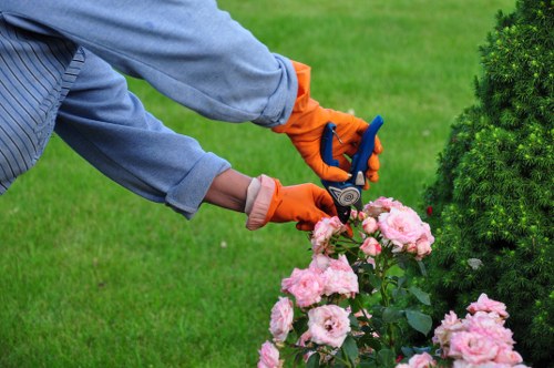 Professional lawn and shrub maintenance in West Heath