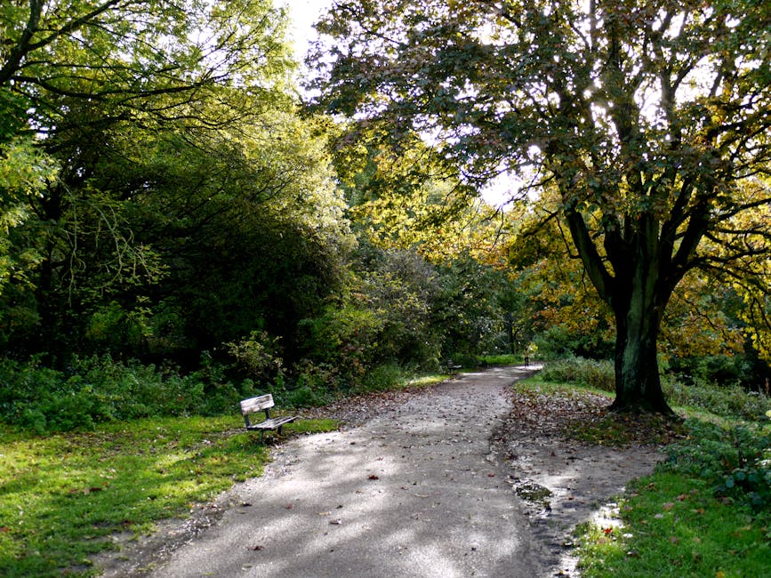 A tranquil garden scene featuring a winding gravel pathway bordered by lush green grass and dense foliage. On the left side, a weathered wooden bench is situated among small flowering plants and shrub