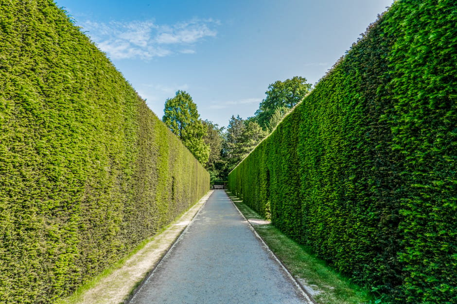 A tranquil garden scene featuring a winding gravel pathway bordered by lush green grass and dense foliage. On the left side, a weathered wooden bench is situated among small flowering plants and shrub