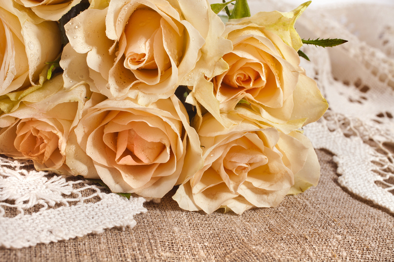 Garden outdoor space